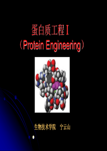 蛋白质工程的基础蛋白质的物理和化学性质(ppt40)(1)