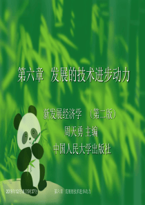 第六章发展的技术进步动力.