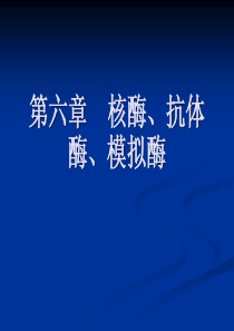 第六章核酶抗体酶模拟酶.