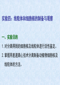 药学院实验四线粒体和细胞核的制备与观察