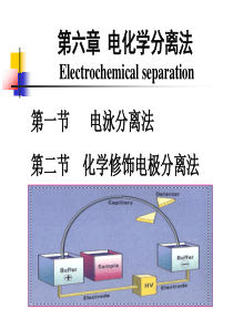 第六章电化学分离法