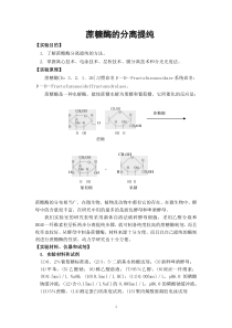 蔗糖酶的分离提纯