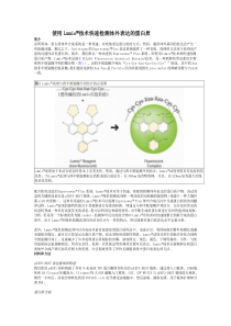 蛋白的检测的方法