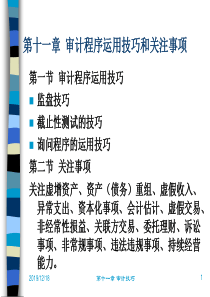 第十一章审计程序运用技巧.