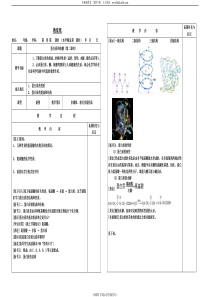 蛋白质和核酸第二课时教案