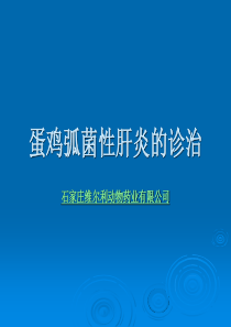 蛋鸡弧菌性肝炎的诊治