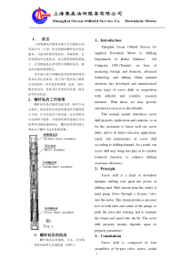 螺杆钻具使用手册ChineseandEngkish