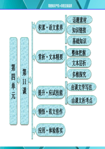 第四单元第11课包身工.