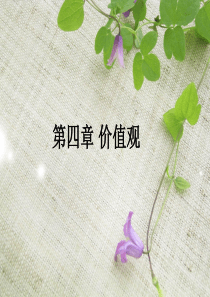 第四章价值观(大学生职业生涯规划庄明科)