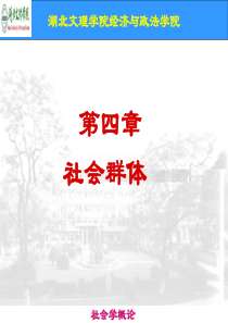 第四章社会群体.