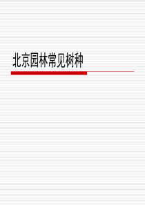 园林常见树木(1)