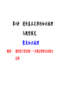 第四讲遗传基本定律的知识梳理与题型探究