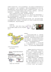 西欧核子研究中心的物理实验