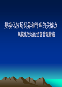 规模化牧场饲养和管理的关键点