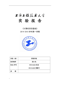 计算机信息技术综合实验报告