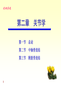 系统解剖学关节学