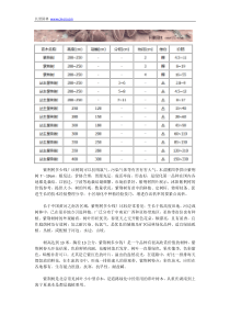 紫荆树多少钱