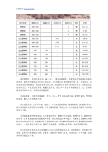 紫荆树报价