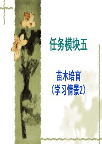 园林植物播种育苗