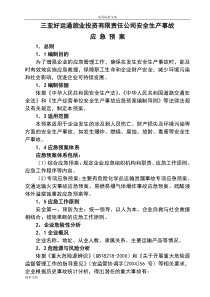 运输企业安全生产事故应急预案