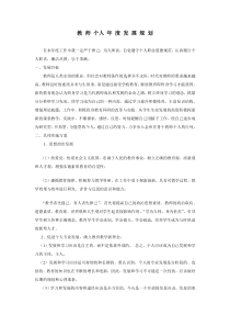 新教师个人年度发展规划