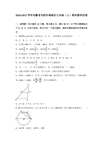 合肥市瑶海区2017届九年级上期末数学试卷含答案