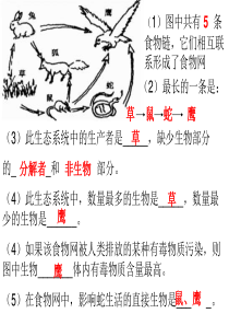 人教版生物七年级上册识图题总结