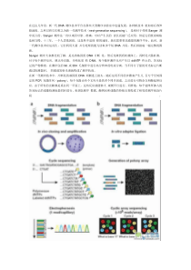 高通量测序：第二代测序技术详细介绍