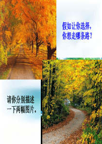 《未选择的路》优秀课件(31张)