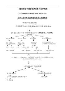 梅州市地中海贫血病诊断与治疗规范