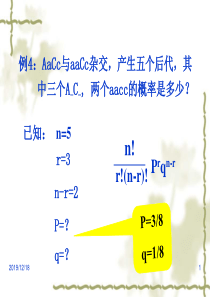 第4章基因的作用及其与环境的关系.