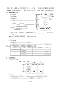 第4讲核酸糖类和脂质一轮复习