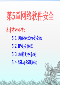 第5章网络软件安全.