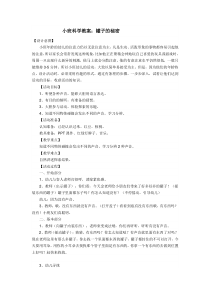 小班科学教案