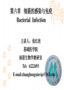 第8版细菌的感染与免疫医学微生物.