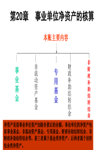 第20章事业单位净资产的核算