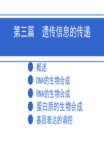 第10基因信息的传递