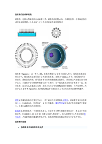 脂质体和阿霉素的分离LipsomeADM