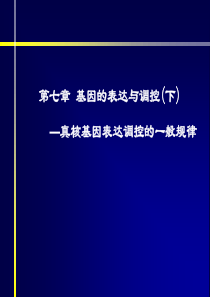 第七章真核基因表达调控的一般规律.