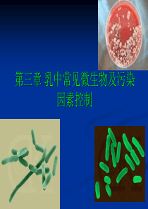 第三章乳中常见微生物及控制.