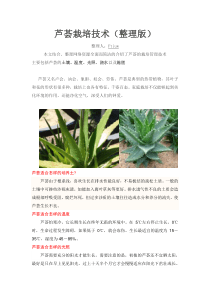 芦荟栽培技术(整理版)