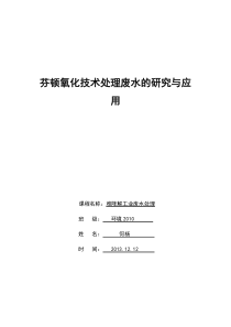 芬顿氧化技术处理废水的研究与应用-何杨