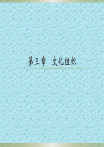 第三章文化组织gengxin123