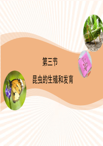 第三节昆虫的生殖与发育.