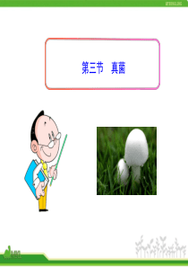 第三节真菌.