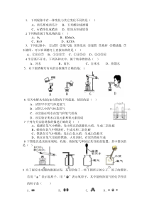 苏教版九年级化学独立练习