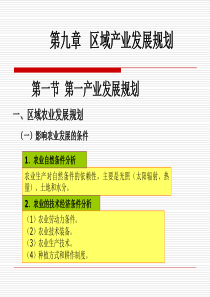 第九章区域产业发展规划.