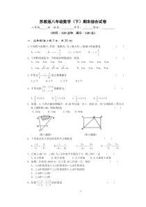 苏教版八年级数学第二学期期末考试模拟试卷及答案