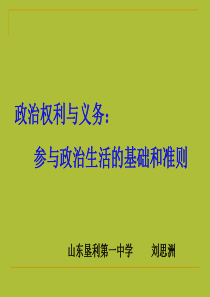 第二框《参与政治生活的基础和准则》课件.