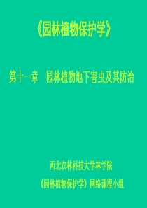 第十一章园林植物地下害虫及防治-西北农林科技大学林学院网